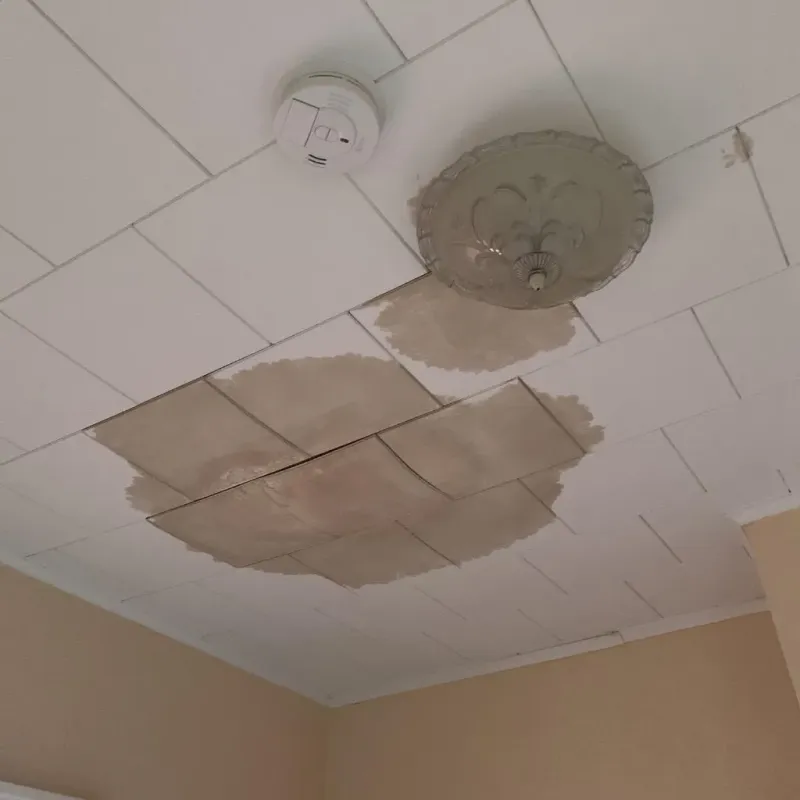 Ceiling Water Damage Repair in Atlanta, MI
