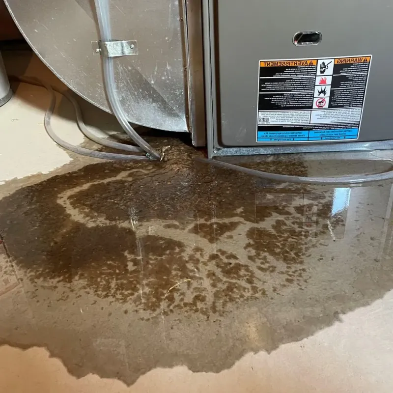 Pipe Burst and Leak Restoration in Atlanta, MI